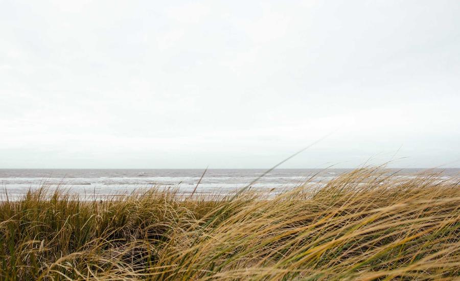 Website laten maken in Lelystad