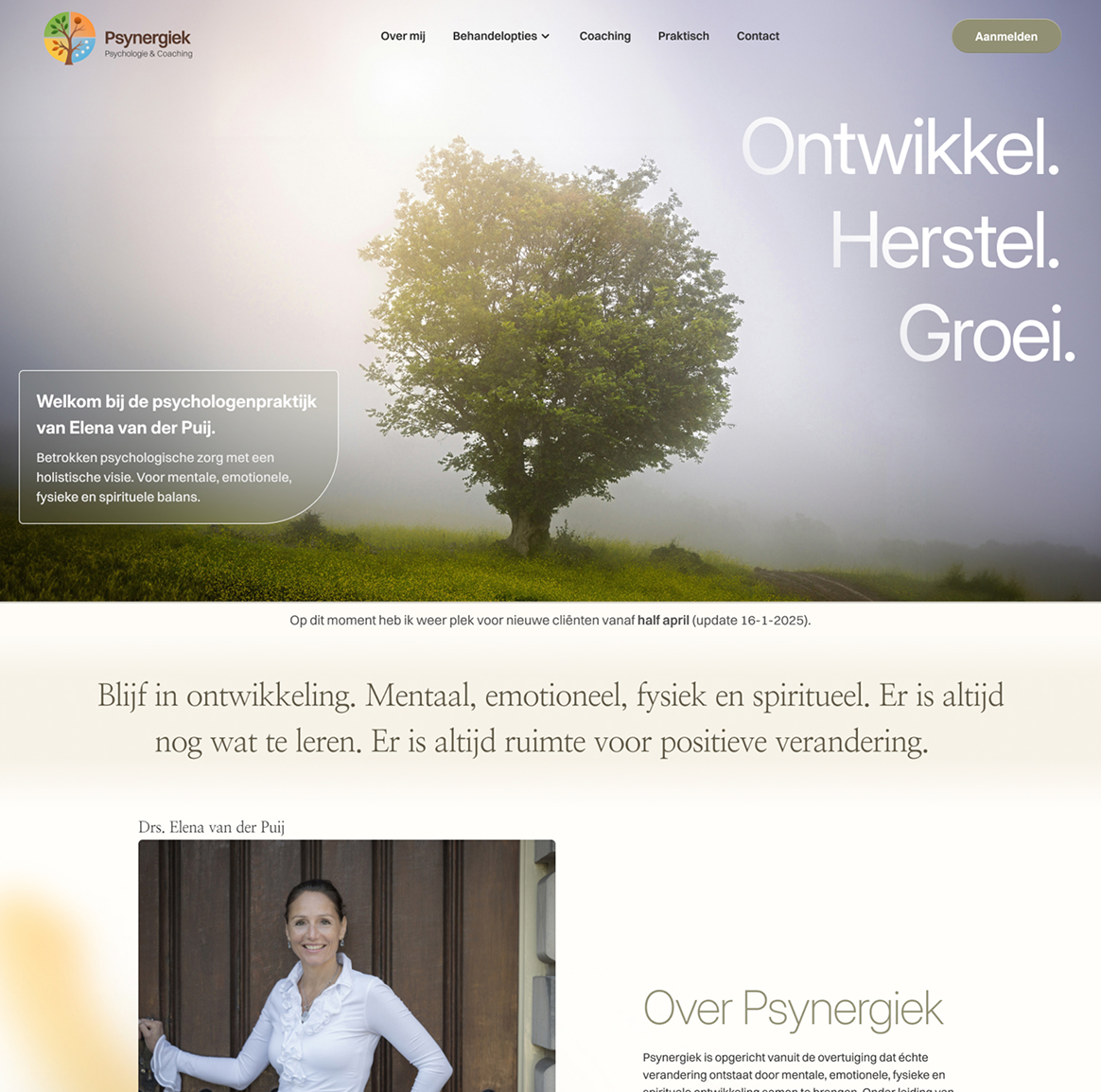 Psynergiek website