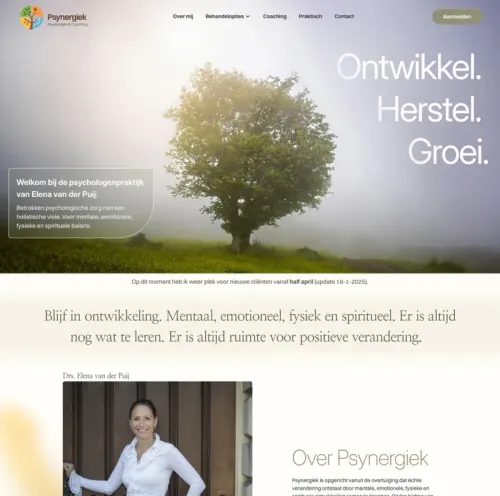 Psynergiek website